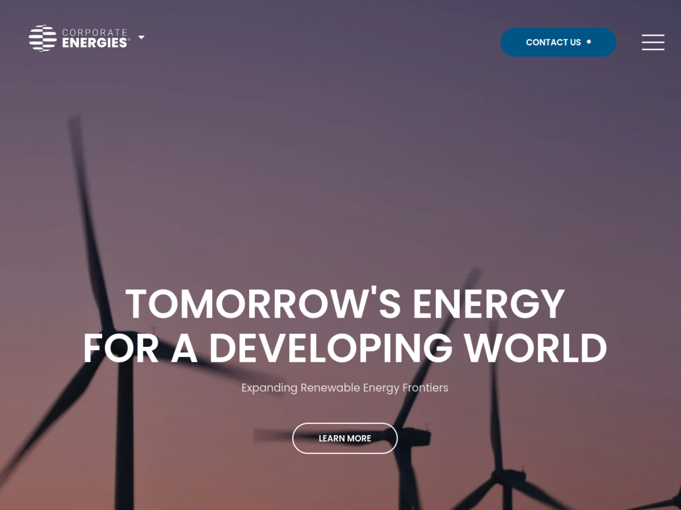 Website-Screenshot von BerlinWind GmbH