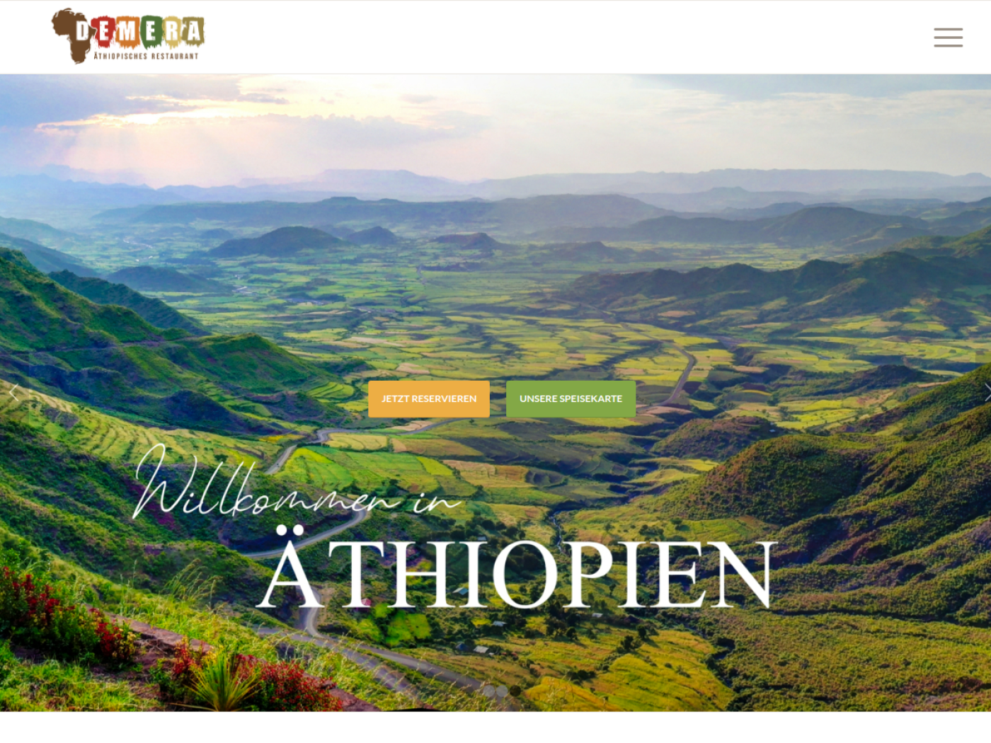 Website-Screenshot von Demera