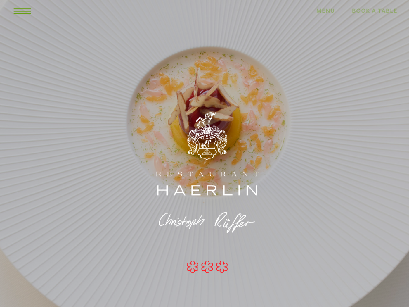 Website-Screenshot von Haerlin