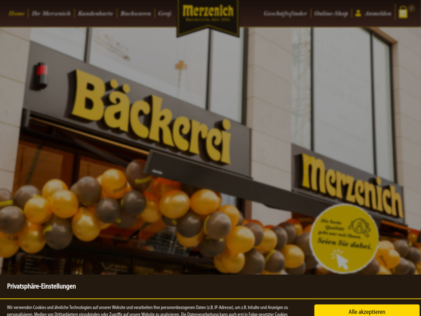 Website-Screenshot von Merzenich