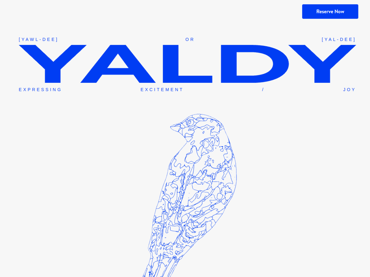 Website-Screenshot von Yaldy