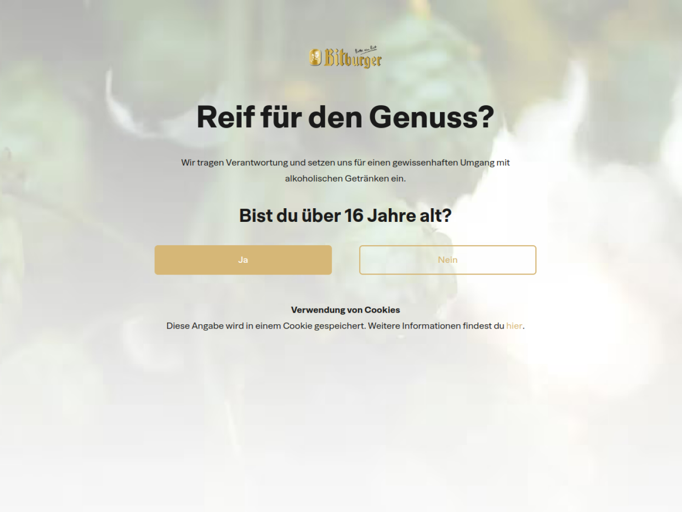 Website-Screenshot von Bitburger Brauerei
