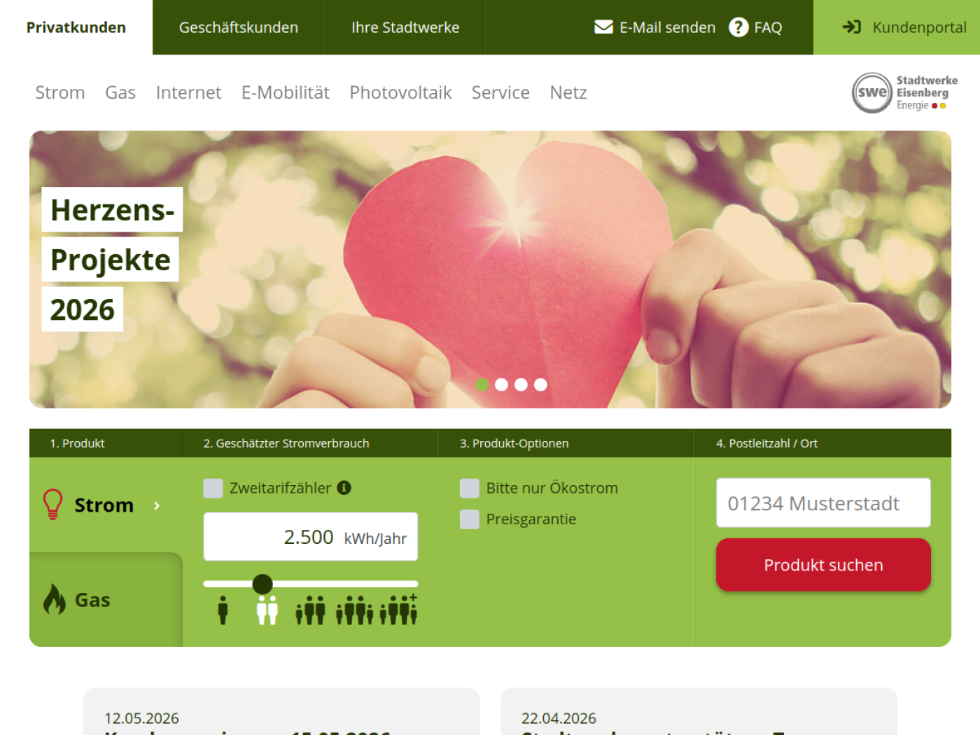 Website-Screenshot von Stadtwerke Eisenberg