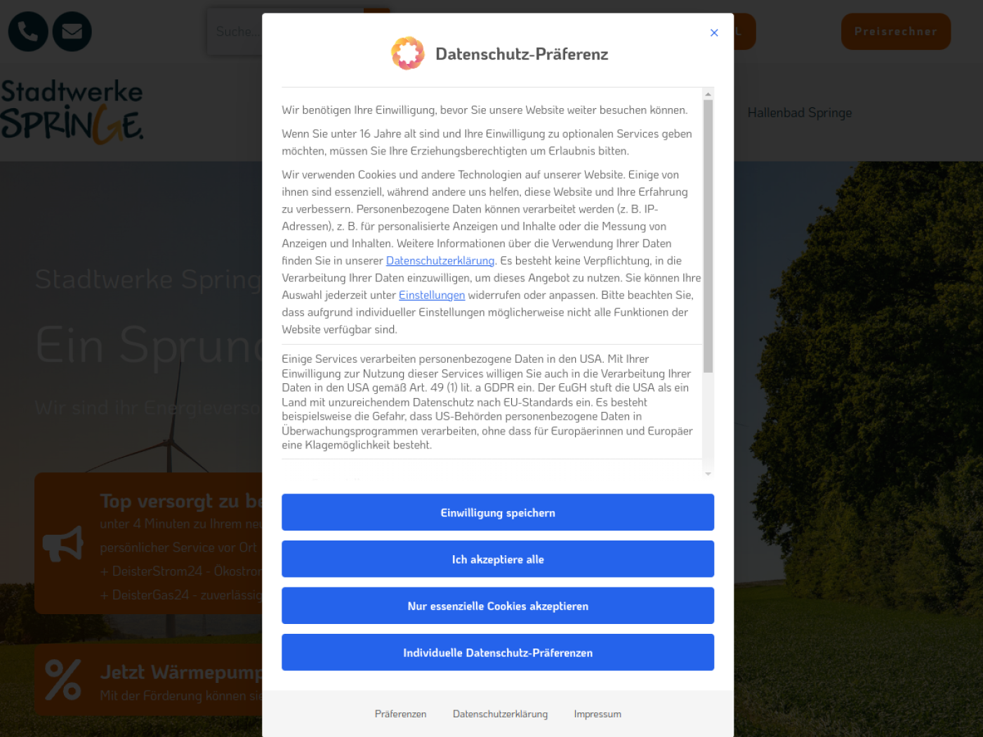 Website-Screenshot von Stadtwerke Springe