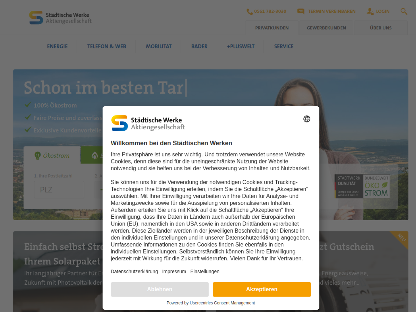 Website-Screenshot von Städtische Werke